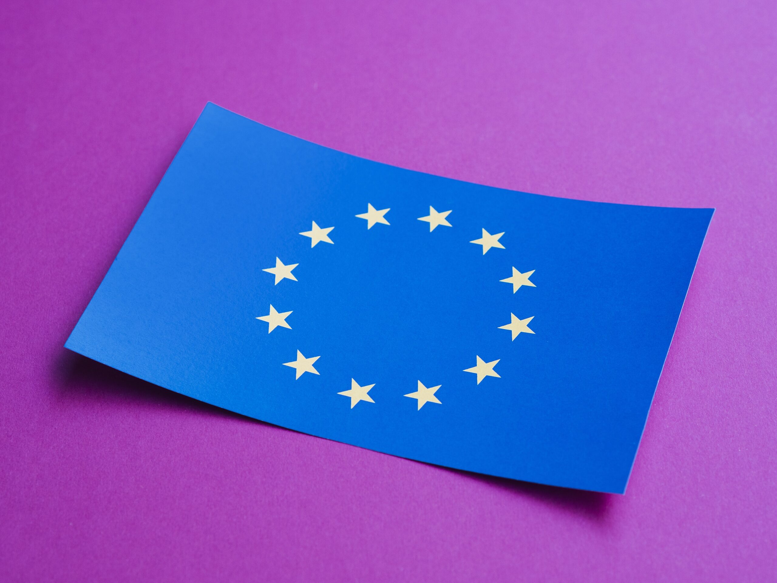 Elezioni europee e scenari di cittadinanza