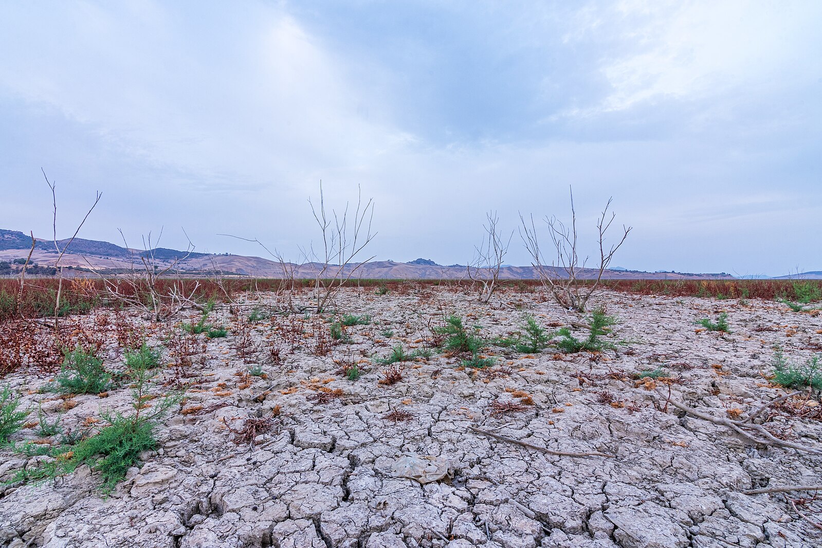 Beyond the Flow: High-Level Diplomacy and the Future of Water in the Middle East Infrastructure, Inequality, and the Politics of Water in the Middle East